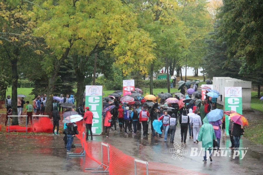 В Великих Луках прошел «Кросс Нации - 2015» (фото)