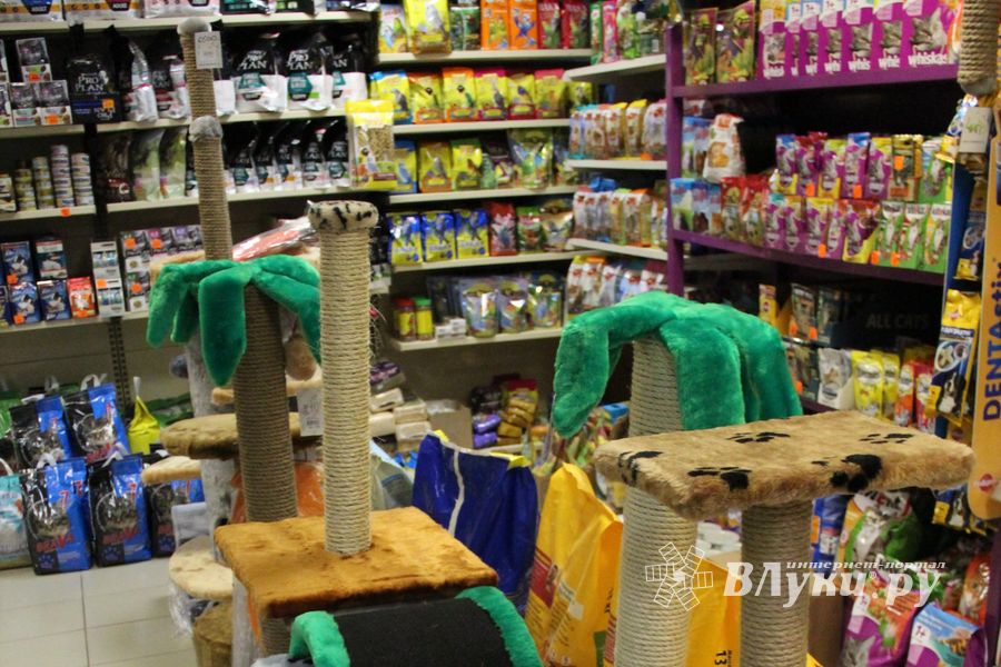 «Zooбастики»: подарите праздник своим любимцам! (ФОТО+ВИДЕО)