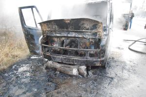 В Псковской области сгорел микроавтобус (фото)