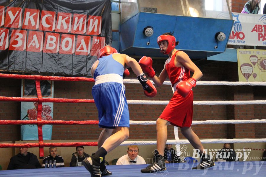 16-й Международный турнир по боксу (фото)
