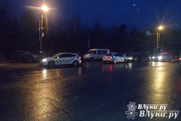 В Псковской области задержаны автоугонщики (фото)