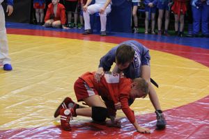 В Великих Луках проходит турнир самбистов (ФОТО)