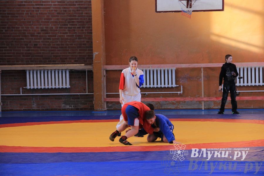 состоялось Открытое первенство города Великие Луки по борьбе самбо