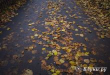 Прогноз погоды в Великих Луках на 4 ноября