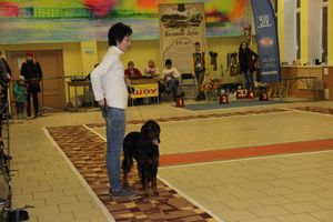 Всероссийская выставка собак в Великих Луках (фото)