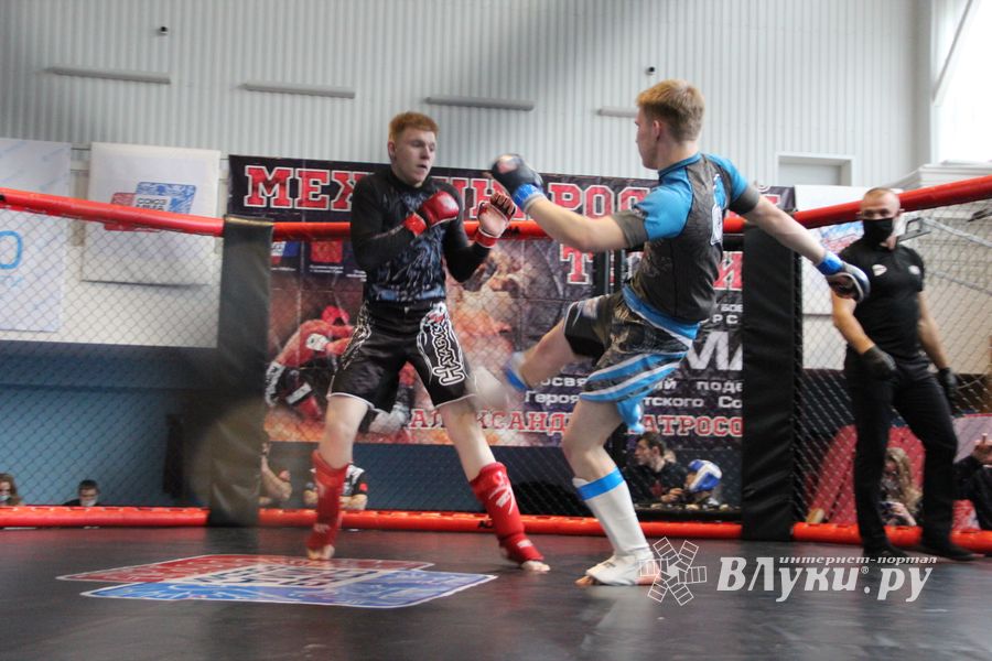 В Великих Луках прошел кубок по смешанному боевому единоборству (ФОТО)