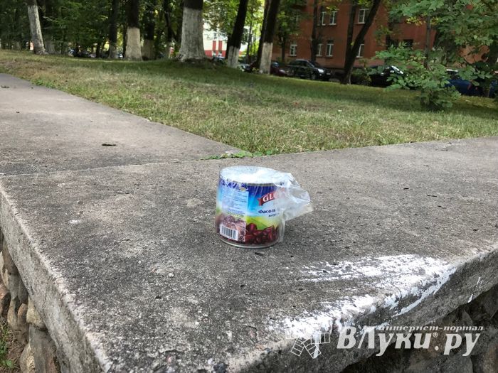Парк Пушкина: «... А вкруг меня глухое запустенье...» (ФОТО)