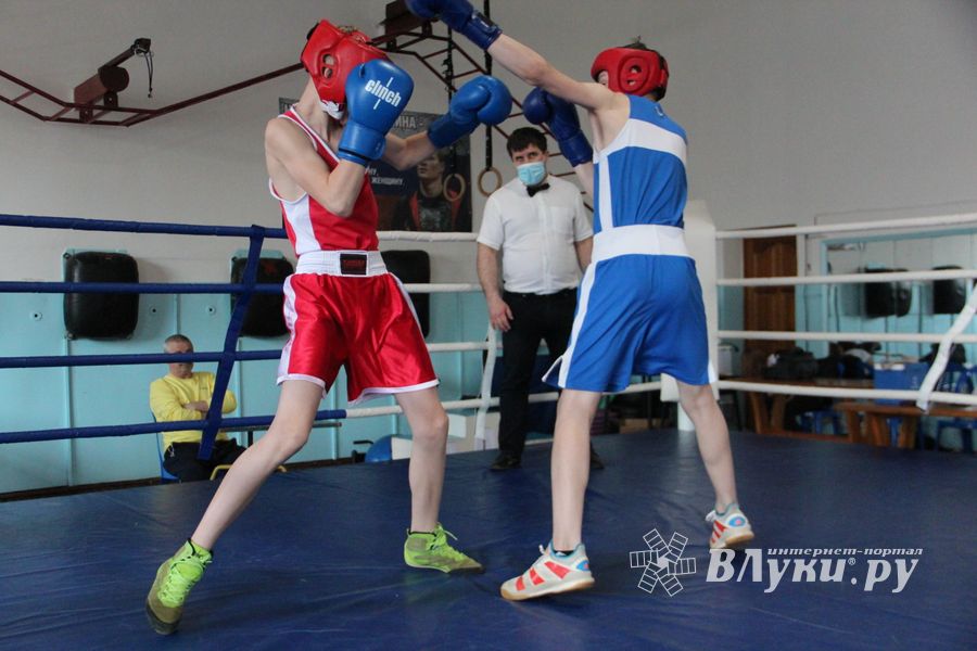 В Великих Луках завершился открытый турнир по боксу (ФОТО)
