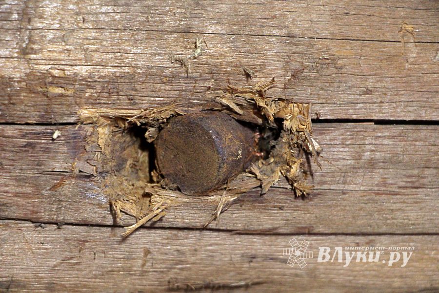 Великолучанин обнаружил боеприпас к авиационной пушке (ФОТО)