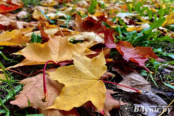Борьба вихрей привела к аномальному теплу