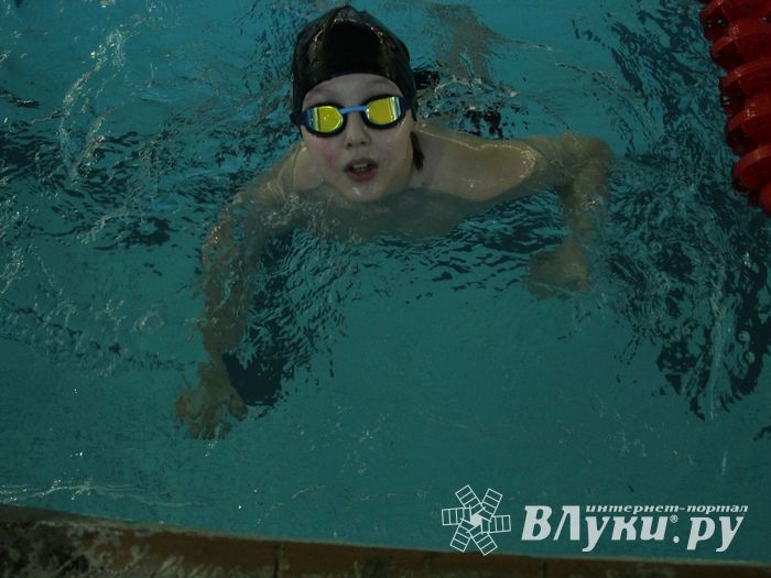 В Великих Луках прошел Чемпионат и Кубок города по плаванию (фото)