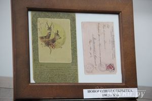 В Великих Луках открылась выставка «Новый год из детства» (фото)