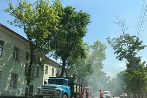 В Великих Луках проходит ямочный ремонт дорог (ФОТО)