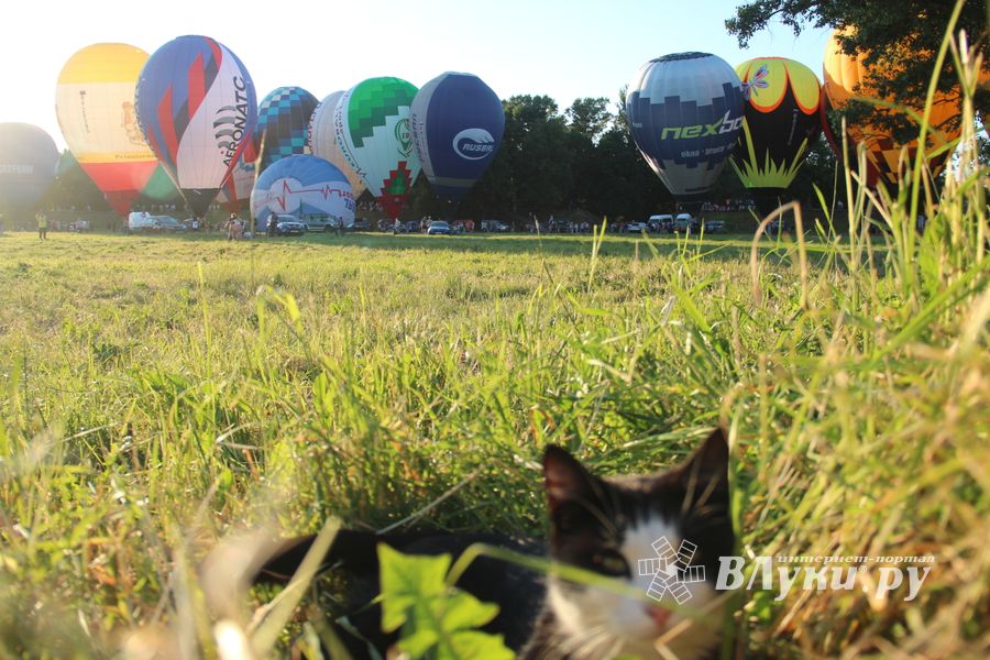 Состоялся спортивный старт аэростатов из Крепости (ФОТО)
