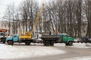 Ёлочка приехала! (ФОТО)