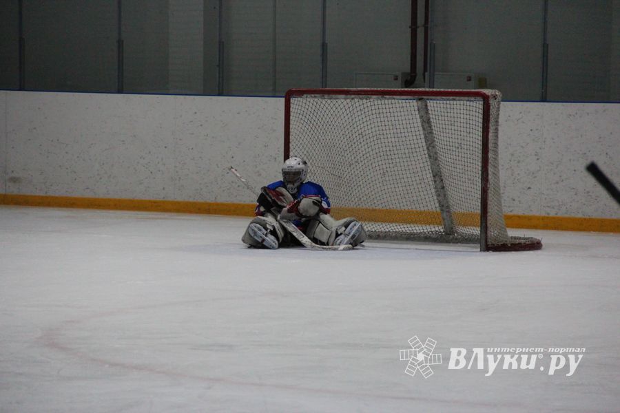 В Великих Луках прошел детский Открытый турнир по хоккею (ФОТО)