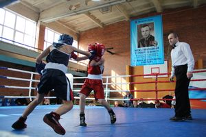 В Великих Луках прошел турнир по боксу памяти Е. Клевцова (ФОТО)