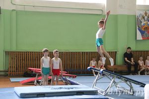 В Великих Луках состоялось Первенство по командной гимнастике (фото)