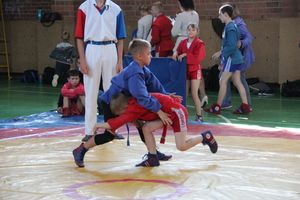 Фестиваль боевых искусств прошел в Великих Луках (ФОТО)