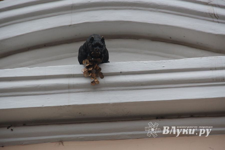 В Великих Луках появился чёрный кот (ФОТО)