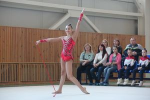 В Великих Луках прошли соревнования по по художественной гимнастике (ФОТО)