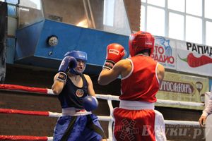 16-й Международный турнир по боксу (фото)