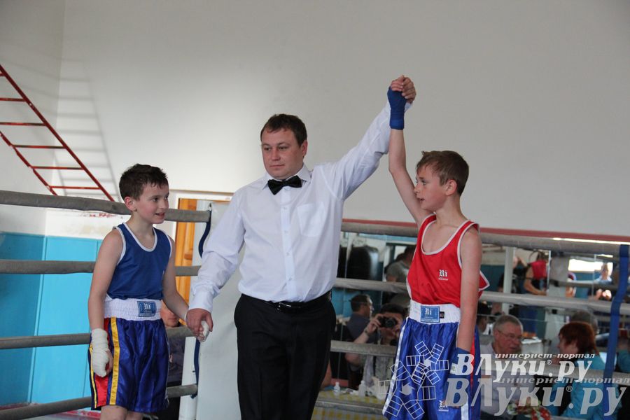 Первенство города по боксу