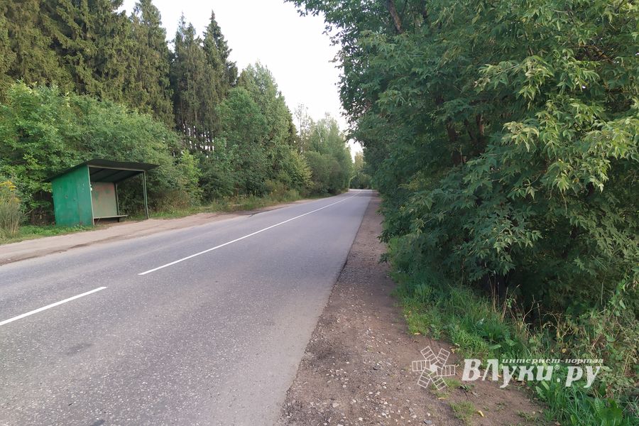 В Великих Луках не думают о безопасности граждан