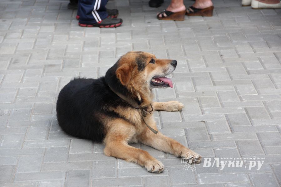 Освящение Храма святителя Тихона, Патриарха Всероссийского, святых Новомучеников и Исповедников Российских (ФОТО)