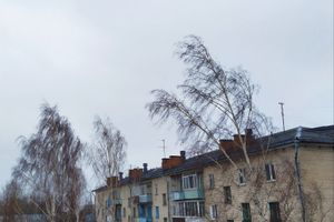 © ВЛуки.ру