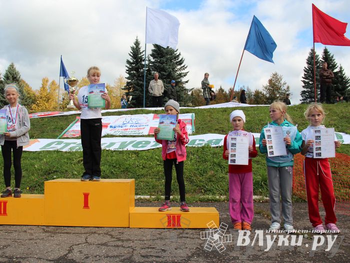 Кросс нации