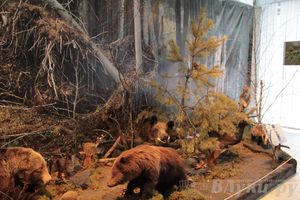 Обзор выставок Краеведческого музея