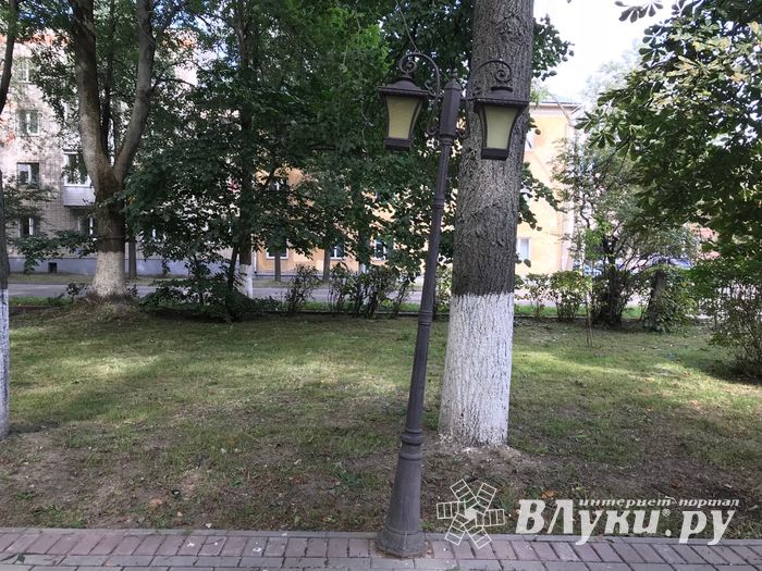 Парк Пушкина: «... А вкруг меня глухое запустенье...» (ФОТО)