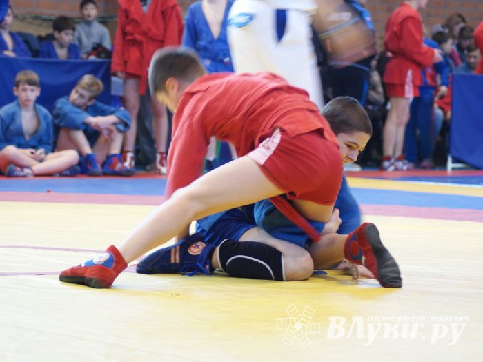 Великолучане завоевали призовые места на турнире по самбо «Память» (ФОТО)