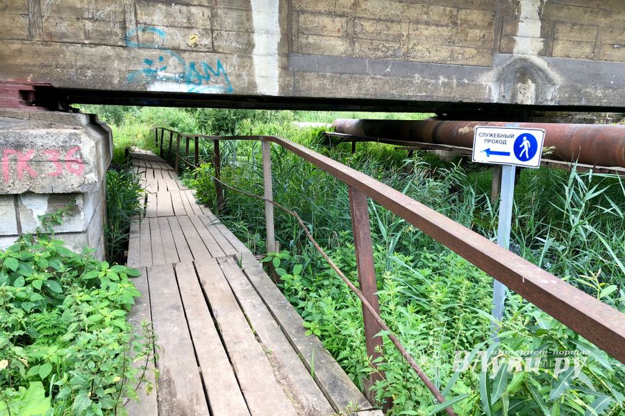 Великолучанка собралась жаловаться Путину на опасный Лазавицкий переезд (ФОТО)