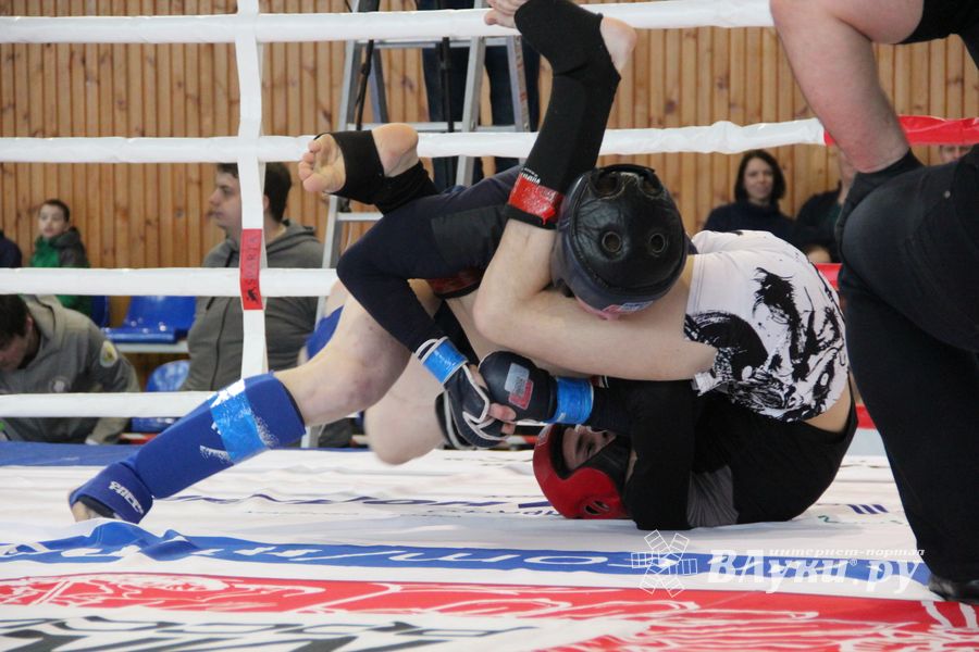 Открытый кубок по смешанному боевому единоборству ММА прошел в Великих Луках (ФОТО)