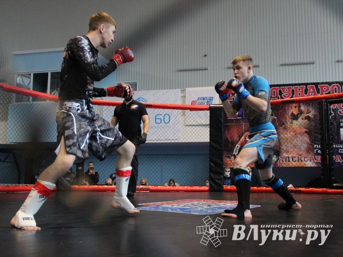 В Великих Луках прошел кубок по смешанному боевому единоборству (ФОТО)