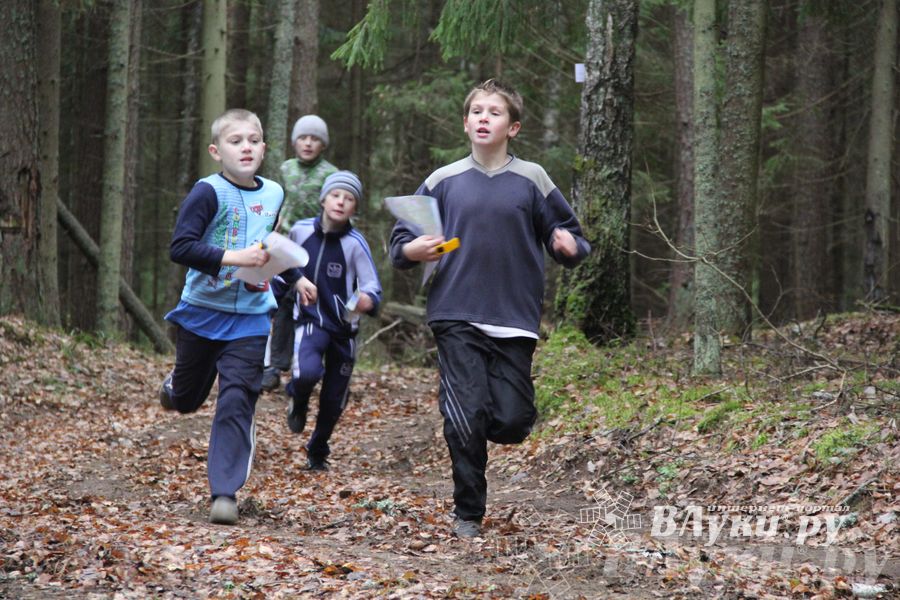 «Великолукский Марафон-2014» прошел в Сенчитском бору (фото)