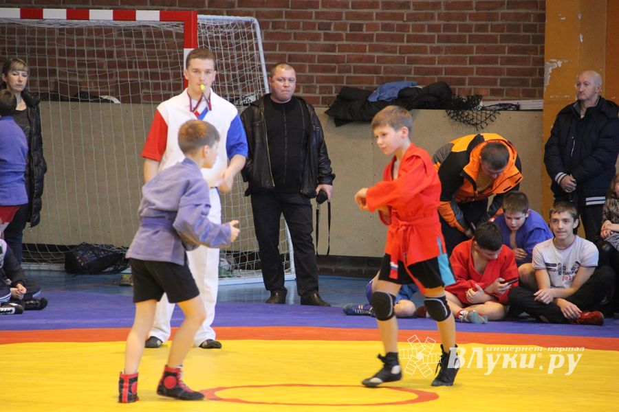 В Великих Луках прошел турнир по самбо "Память" (фото)