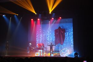 Состоялся концерт братьев Сафроновых «Империя иллюзий» (фото)