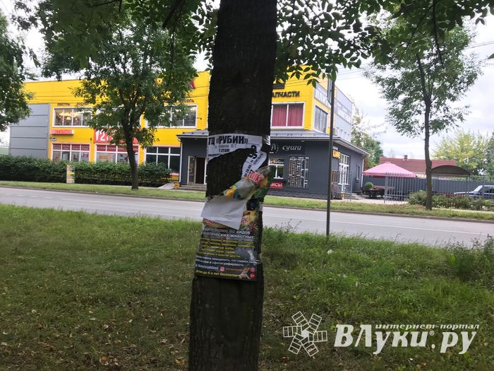 «Прибинтовали» скотчем (ФОТО)