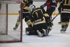 Великолучане обыграли псковских медведей в «Айсберге» (ФОТО)