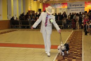 Всероссийская выставка собак в Великих Луках (фото)