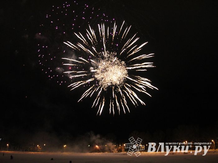 В Великих Луках зажглась новогодная ёлка (ФОТО)