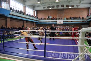 В Великих Луках прошел межрегиональный Открытый Кубок по смешанному боевому единоборству (фото)