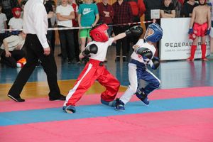 В Великих Луках прошел Кубок области по кикбоксингу (ФОТО)