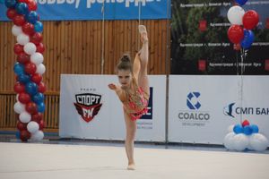 ​В Великих Луках прошли соревнования по художественной гимнастике (ФОТО)