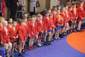 В Великих Луках прошел турнир по самбо "Память" (фото)