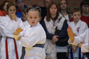 В Великих Луках прошли соревнования по каратэ (ФОТО)