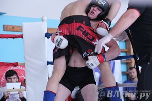 Открытый Кубок города Великие Луки по смешанному боевому единоборству (ММА)